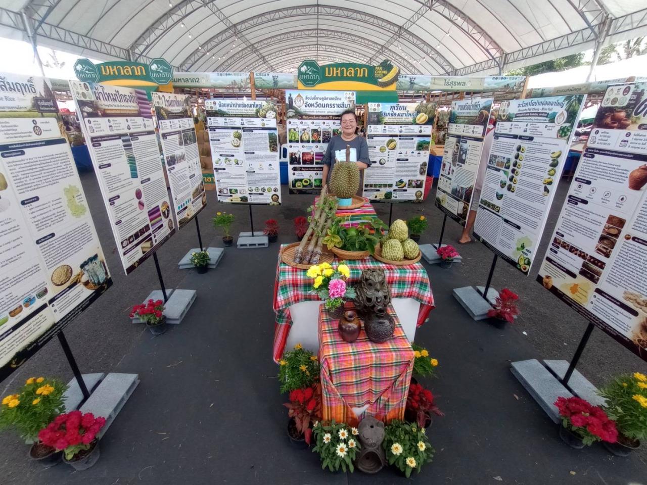 ภาพประกอบที่ 8