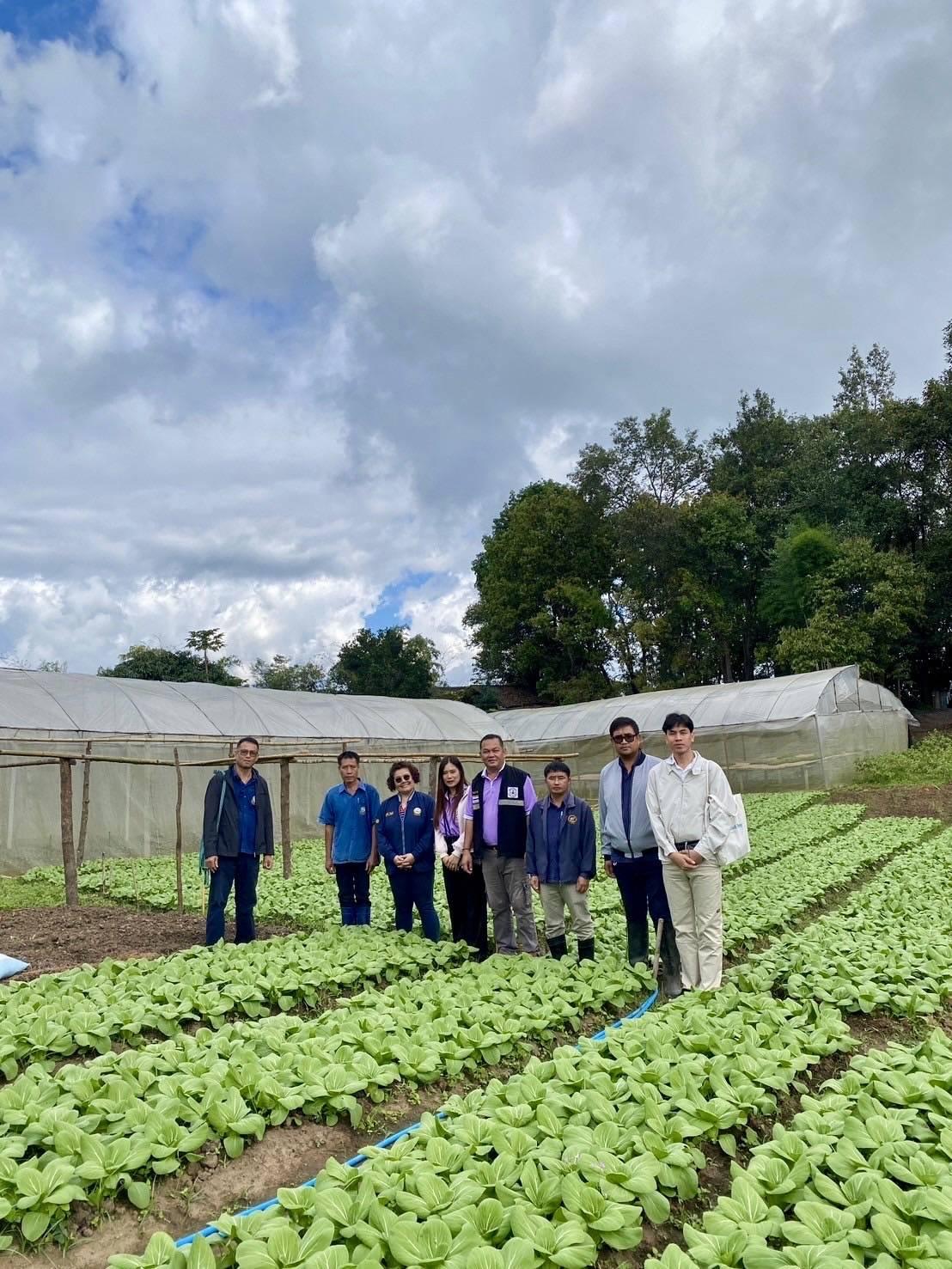 ภาพประกอบที่ 7