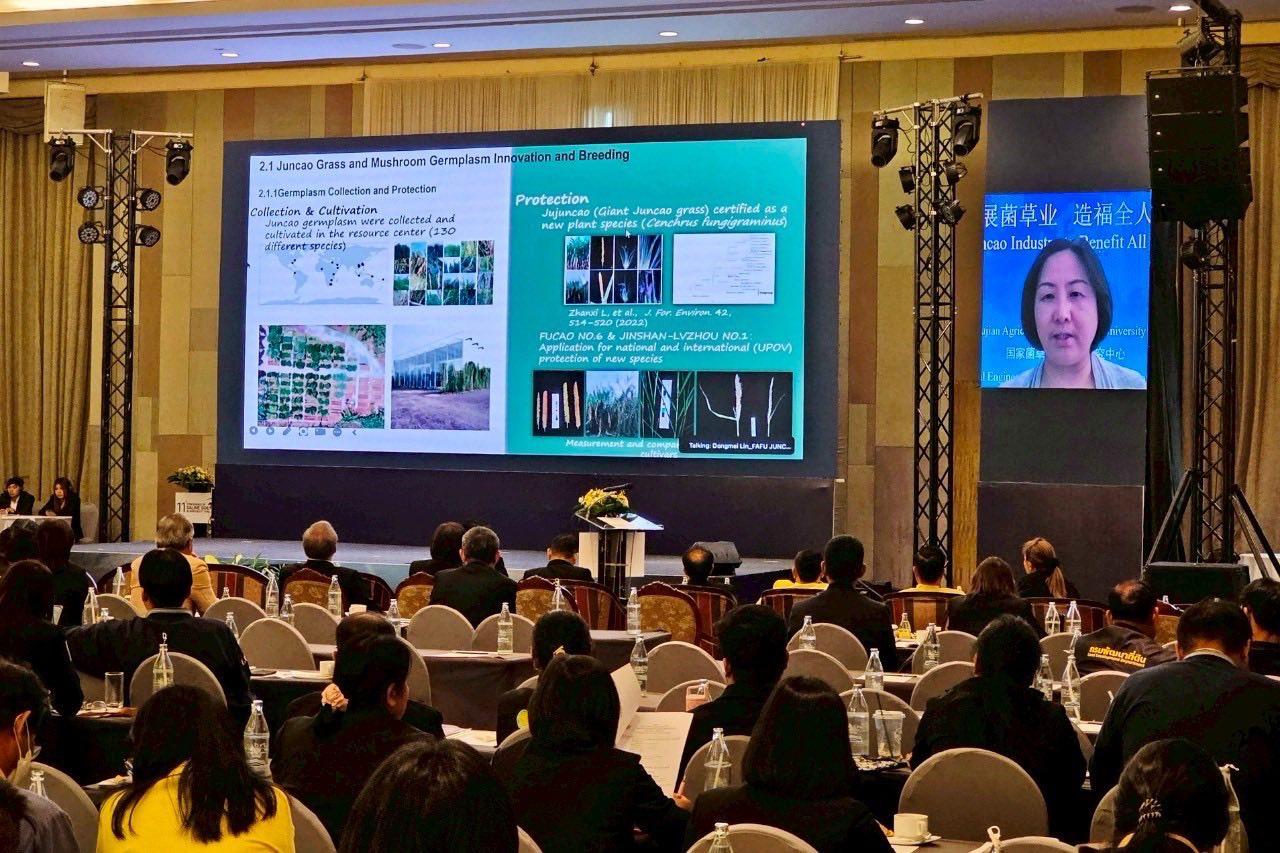 ภาพประกอบที่ 3