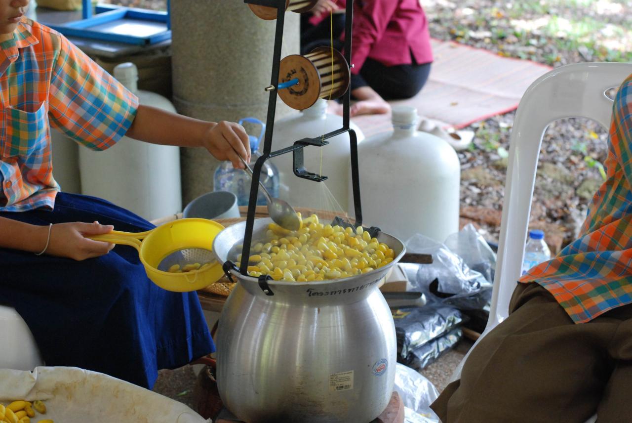 ภาพประกอบที่ 3