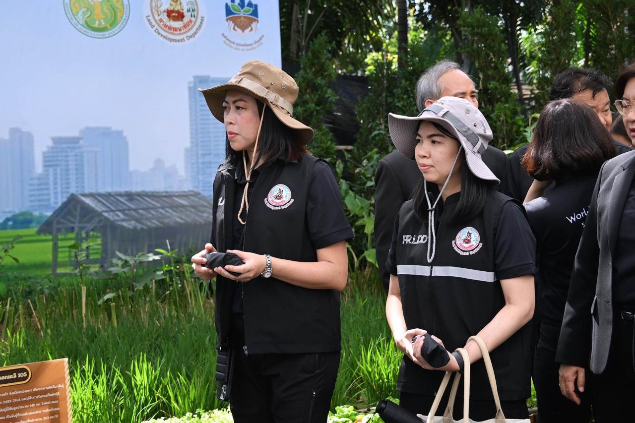 ภาพประกอบที่ 2