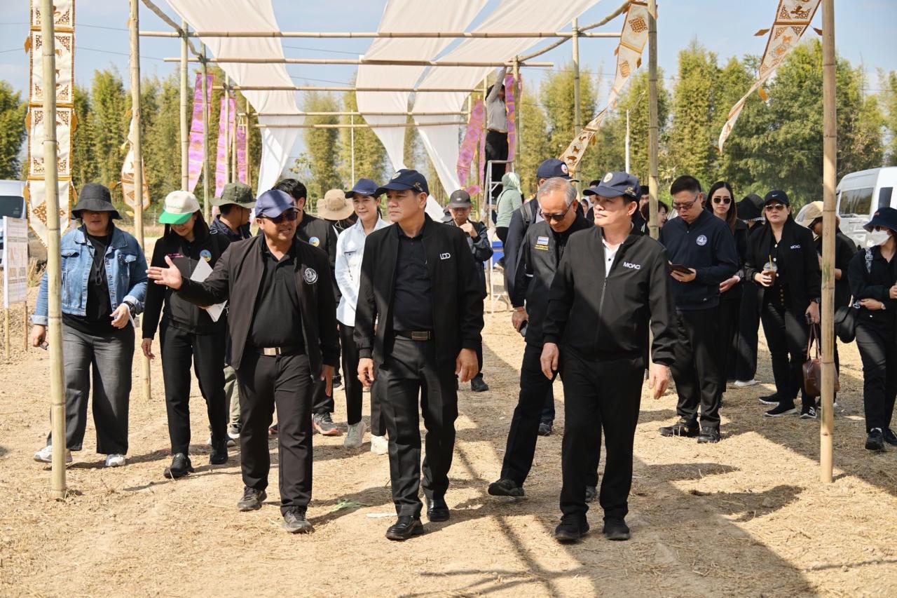 ภาพประกอบที่ 0