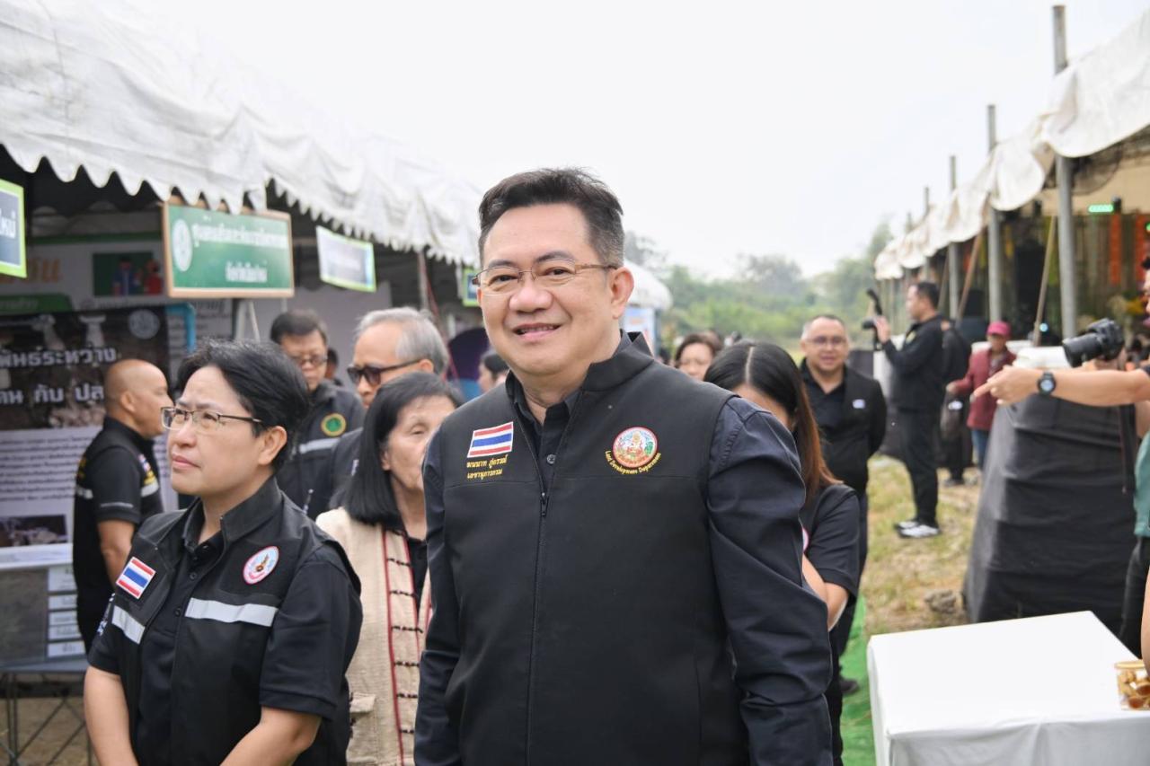 ภาพประกอบที่ 11