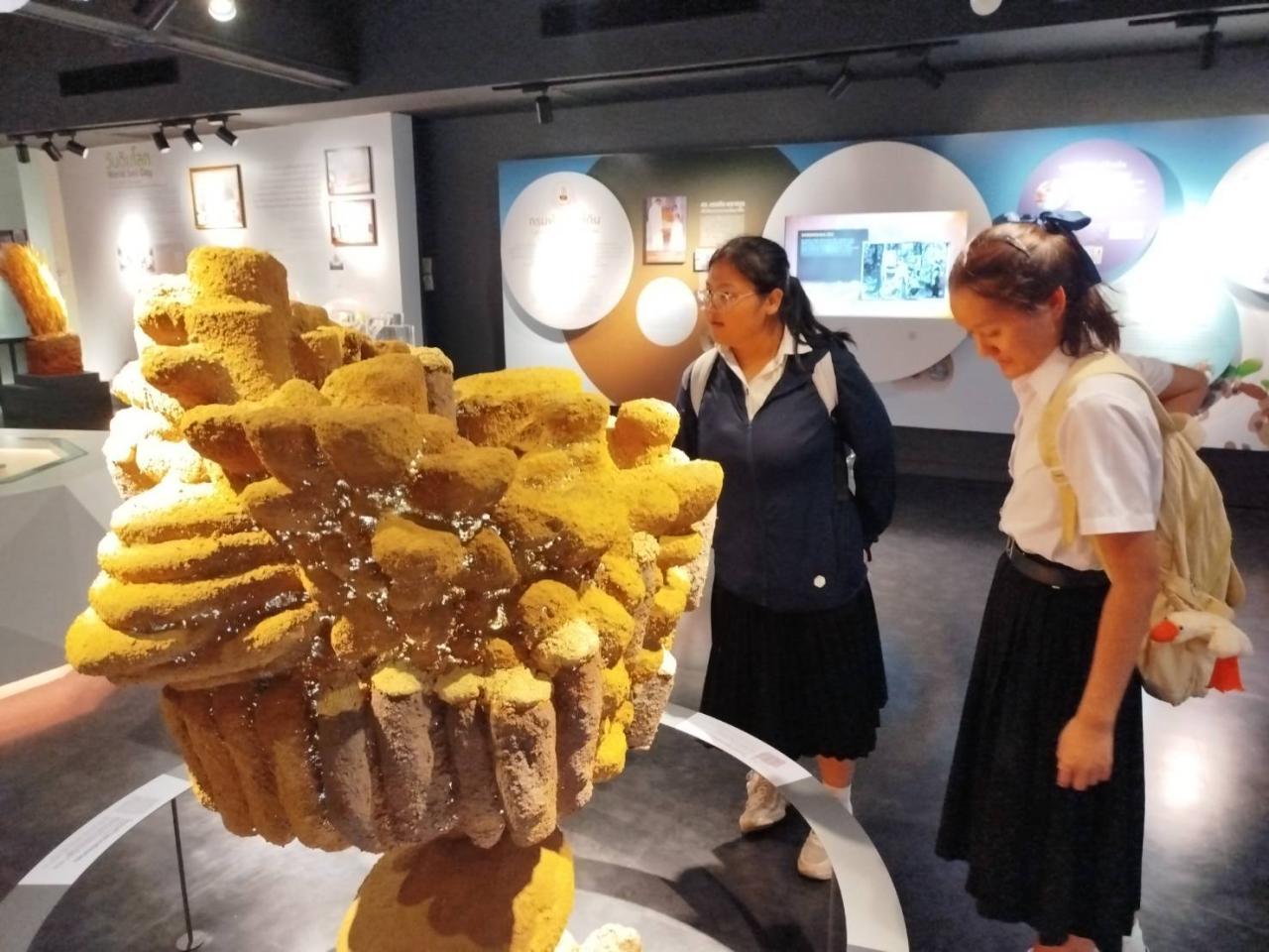 ภาพประกอบที่ 3