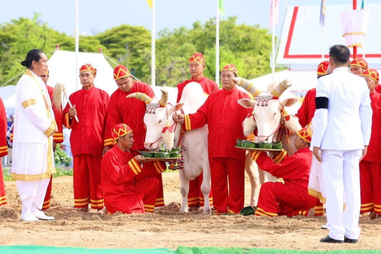 ภาพประกอบที่ 1