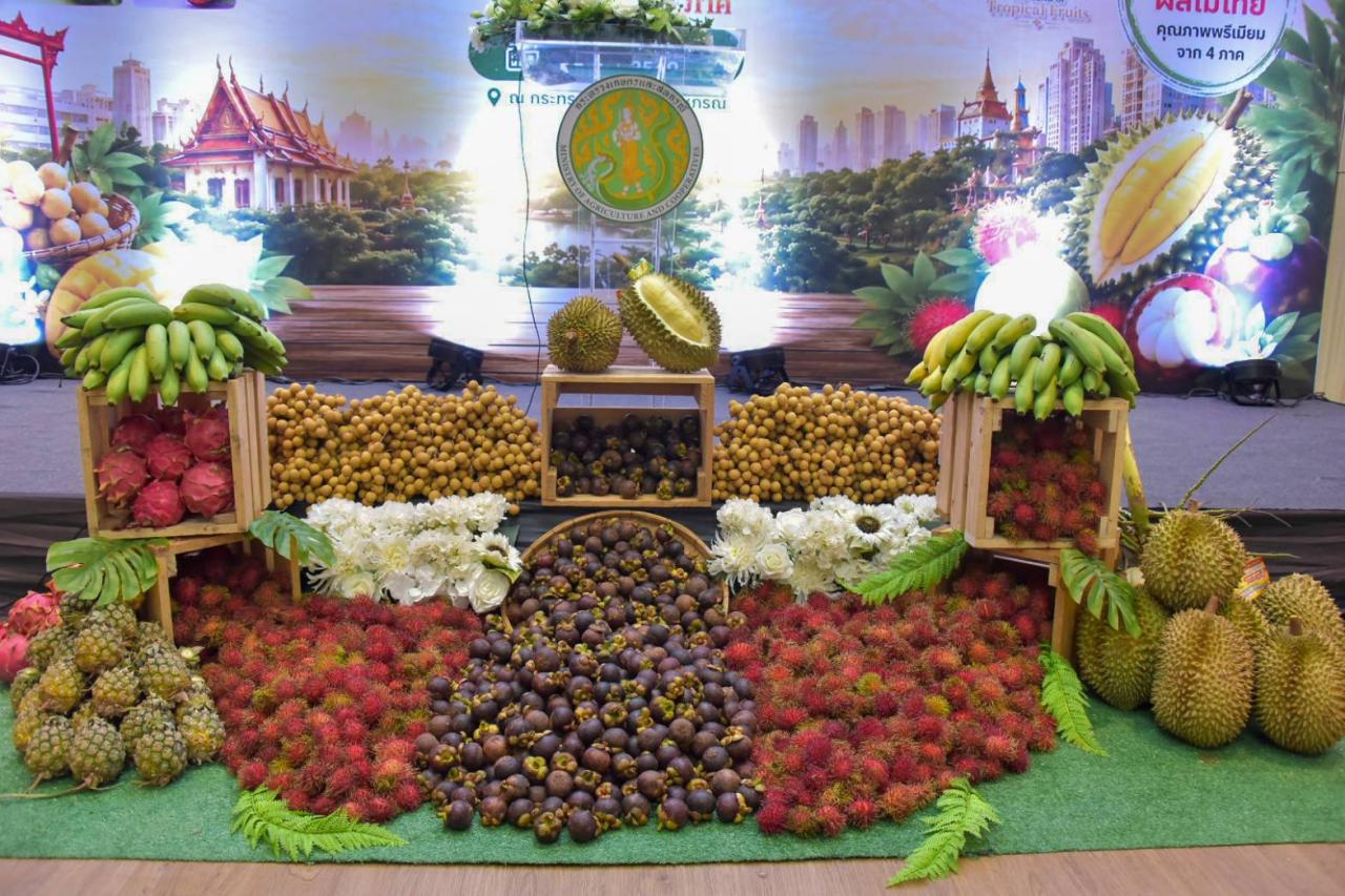 ภาพประกอบที่ 5