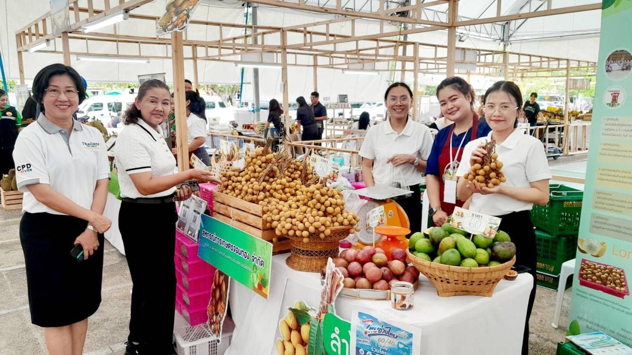 ภาพประกอบที่ 3