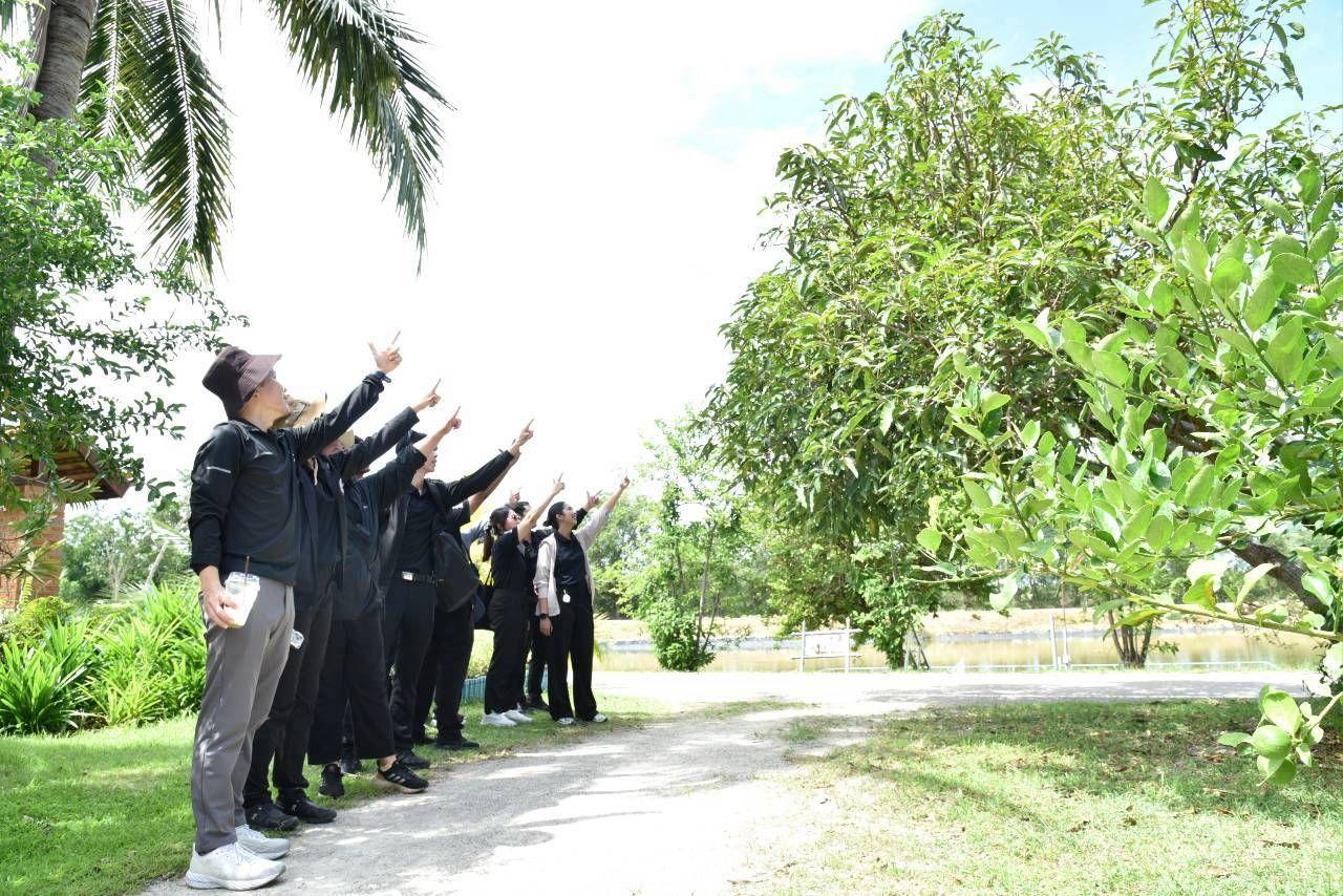 ภาพประกอบที่ 16