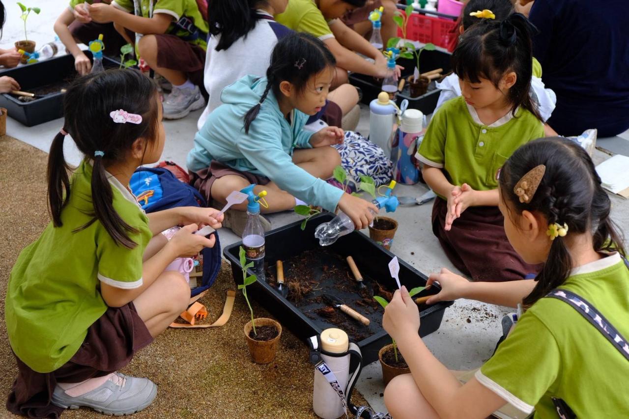ภาพประกอบที่ 9