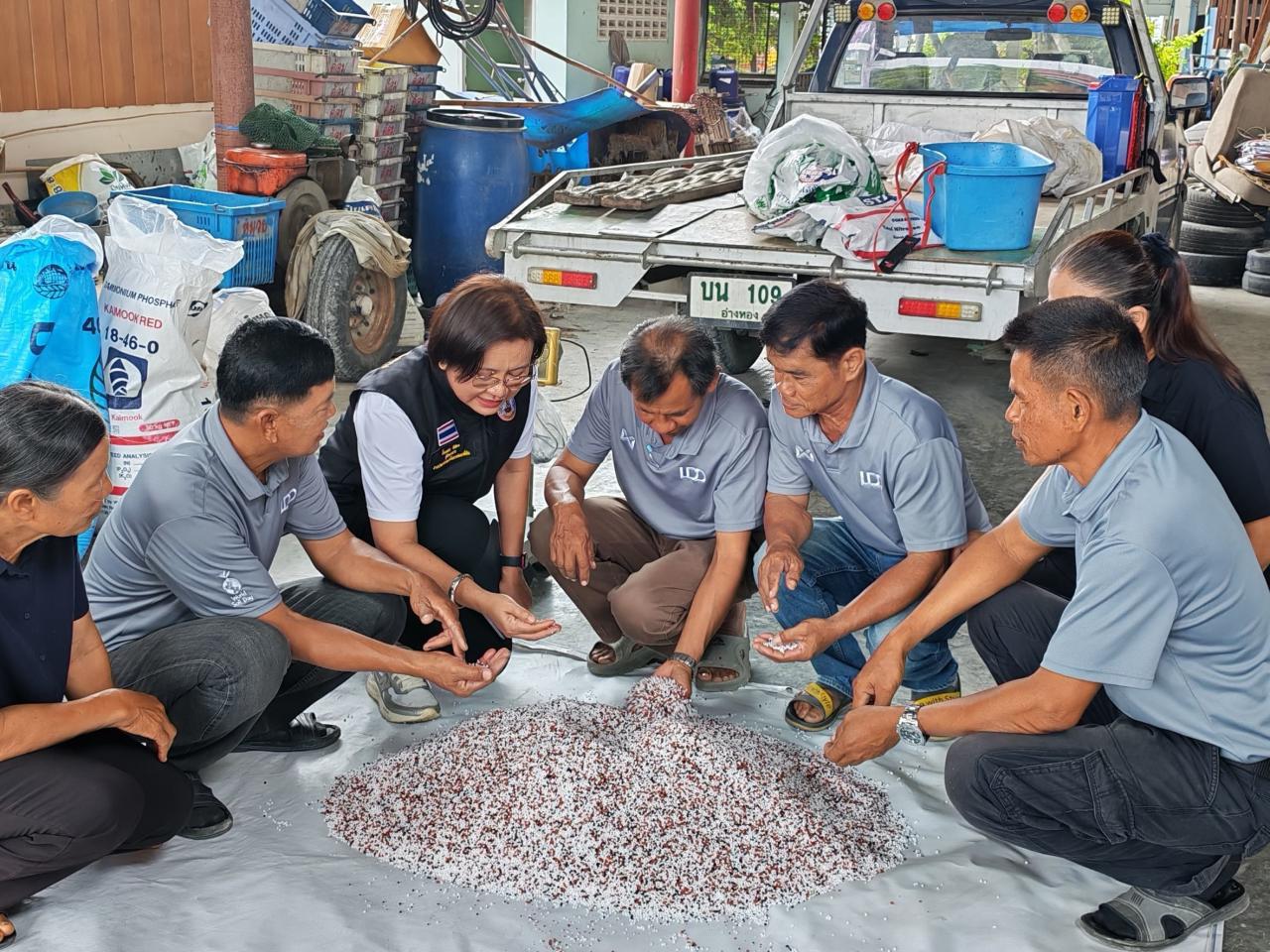 ภาพประกอบที่ 4