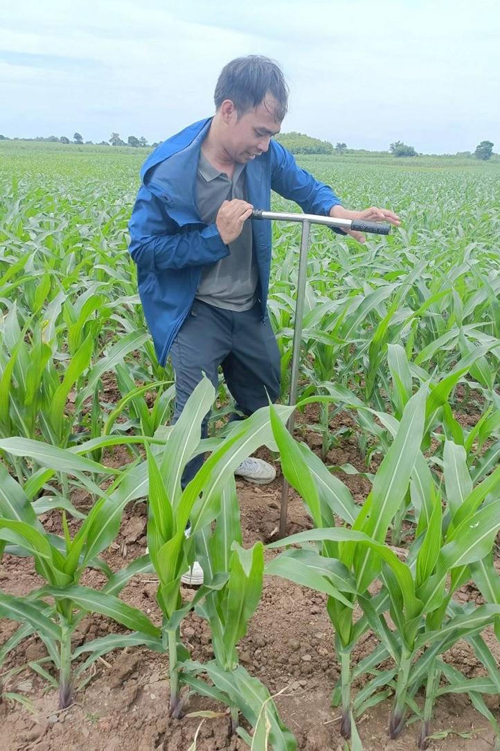 ภาพประกอบที่ 7