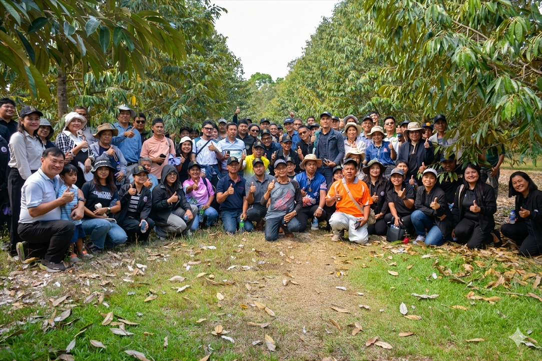 ภาพประกอบที่ 7