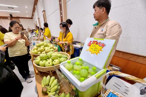 ภาพประกอบที่ 11