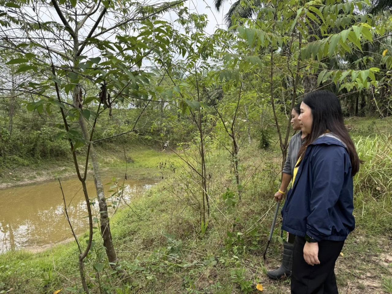 ภาพประกอบที่ 8