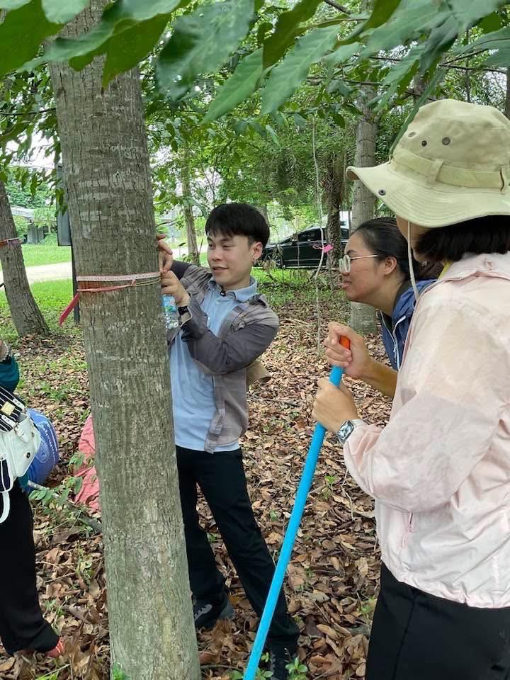 ภาพประกอบที่ 4