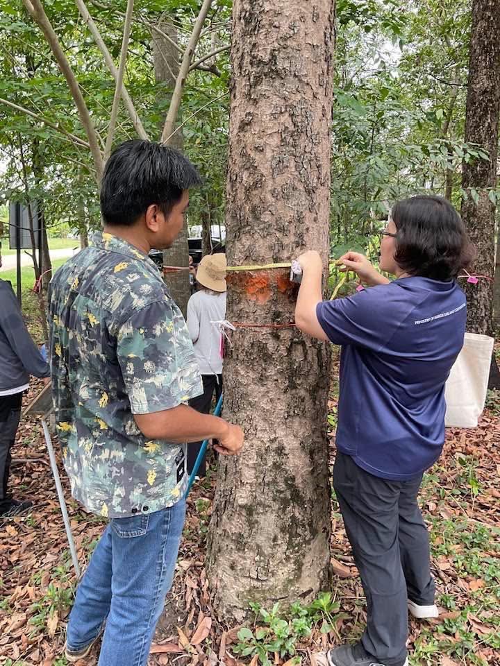 ภาพประกอบที่ 5