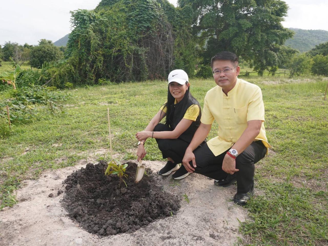 ภาพประกอบที่ 8