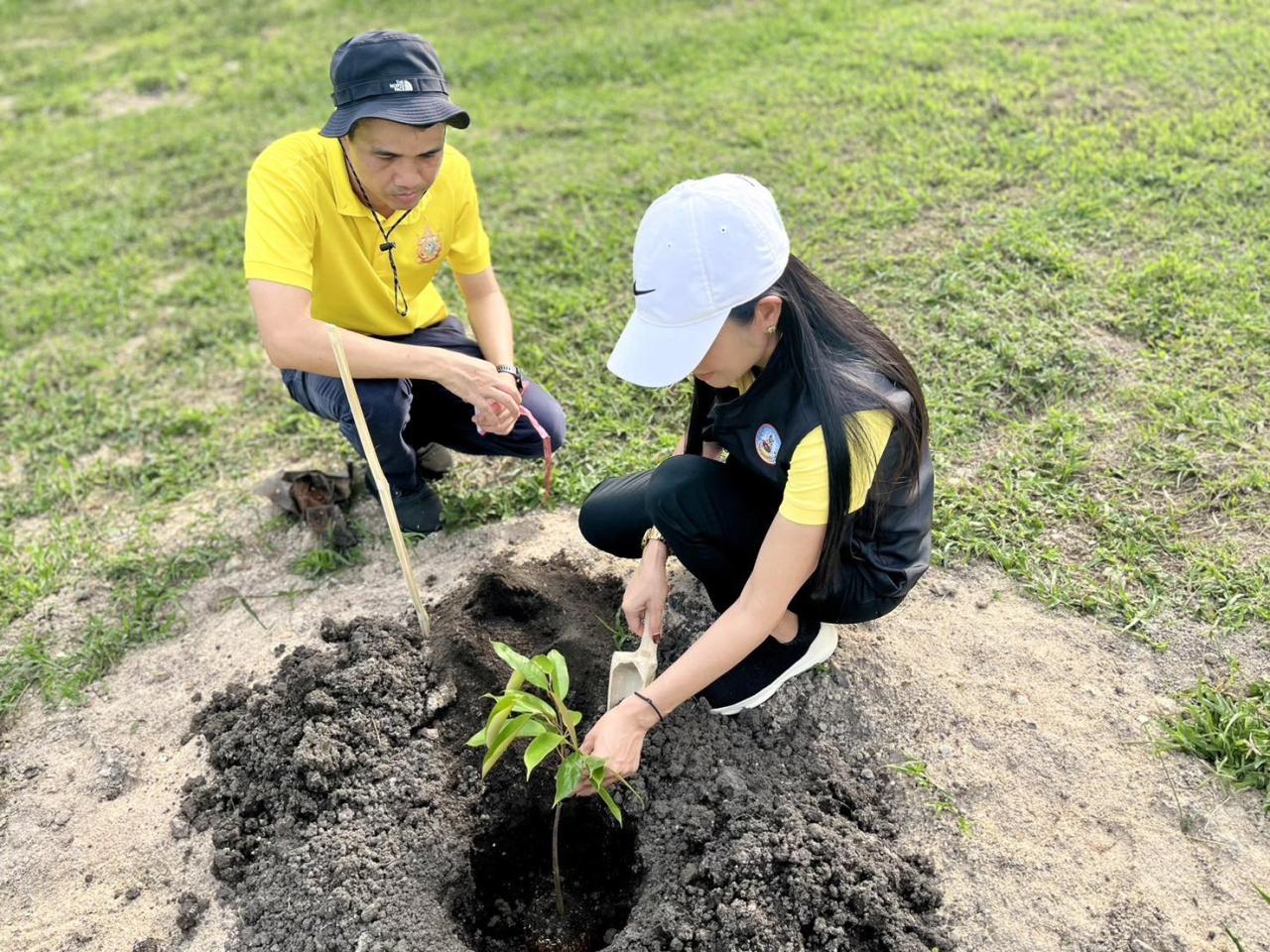 ภาพประกอบที่ 9
