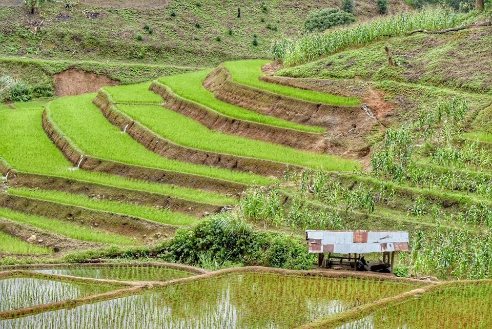 ภาพประกอบที่ 9