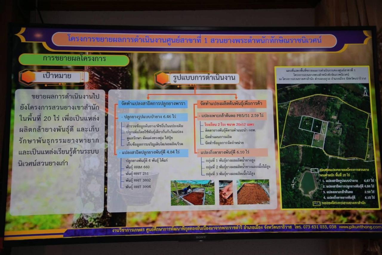 ภาพประกอบที่ 8