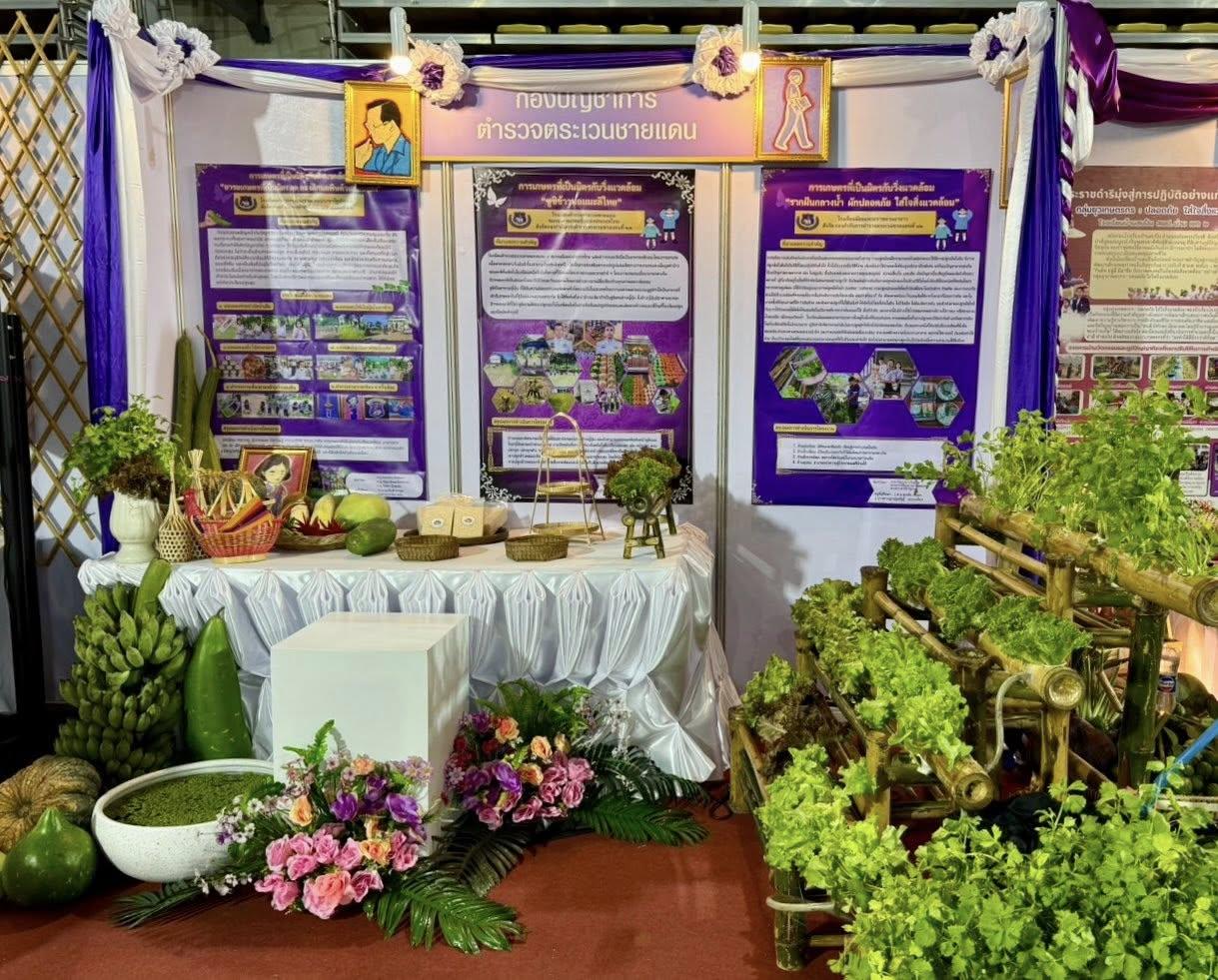 ภาพประกอบที่ 4