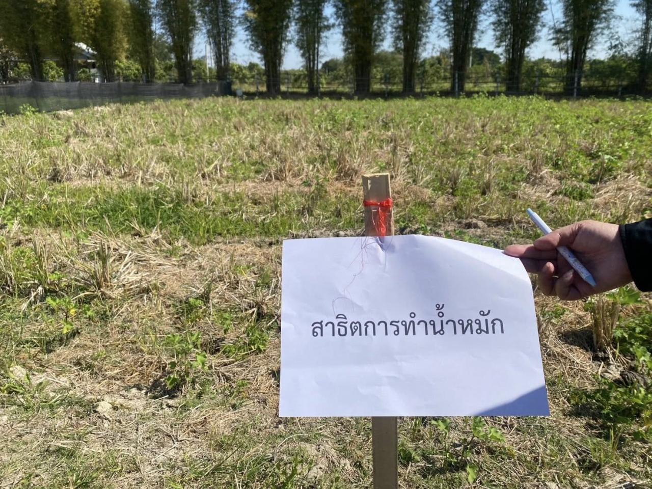 ภาพประกอบที่ 8