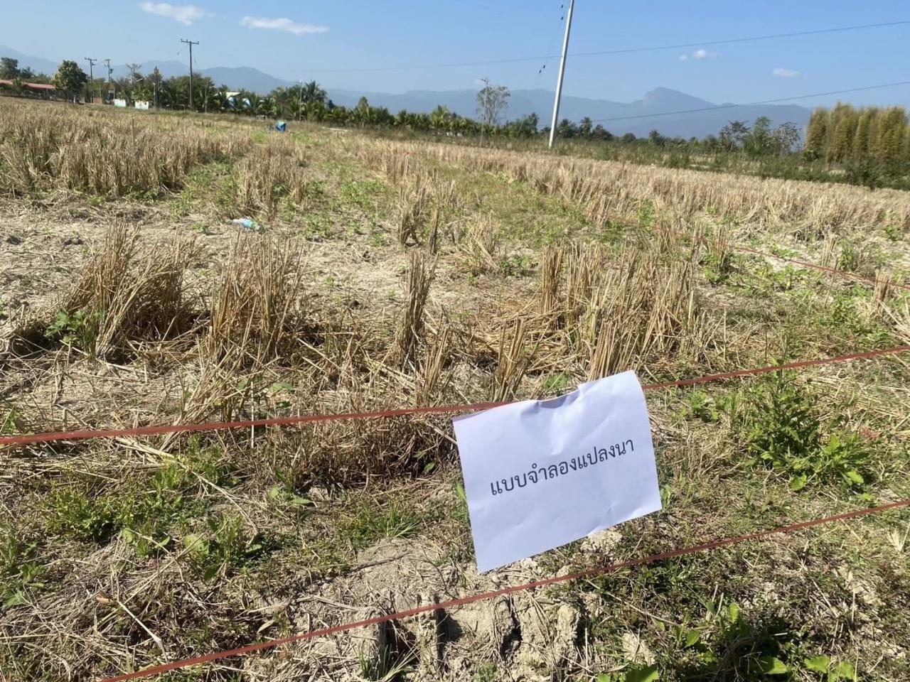 ภาพประกอบที่ 9