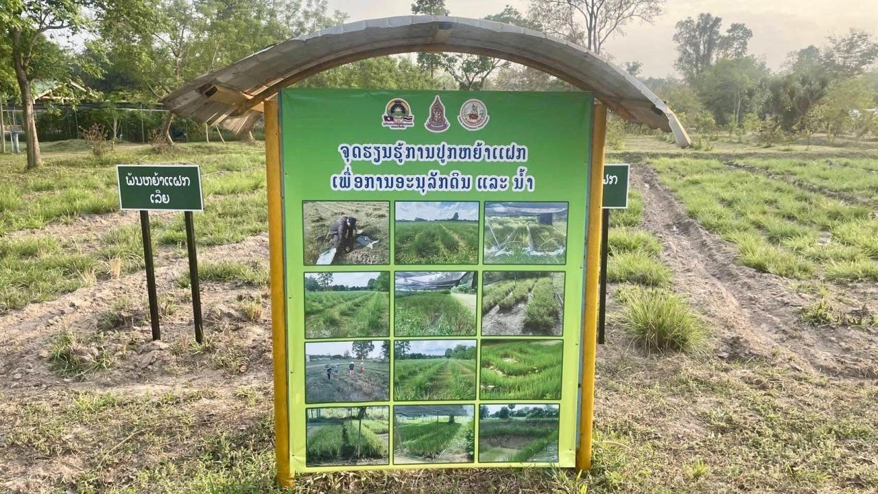 ภาพประกอบที่ 8