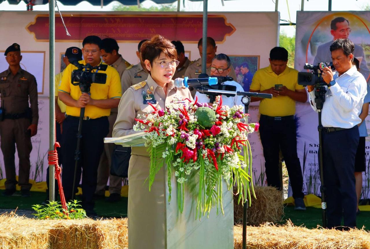 ภาพประกอบที่ 7