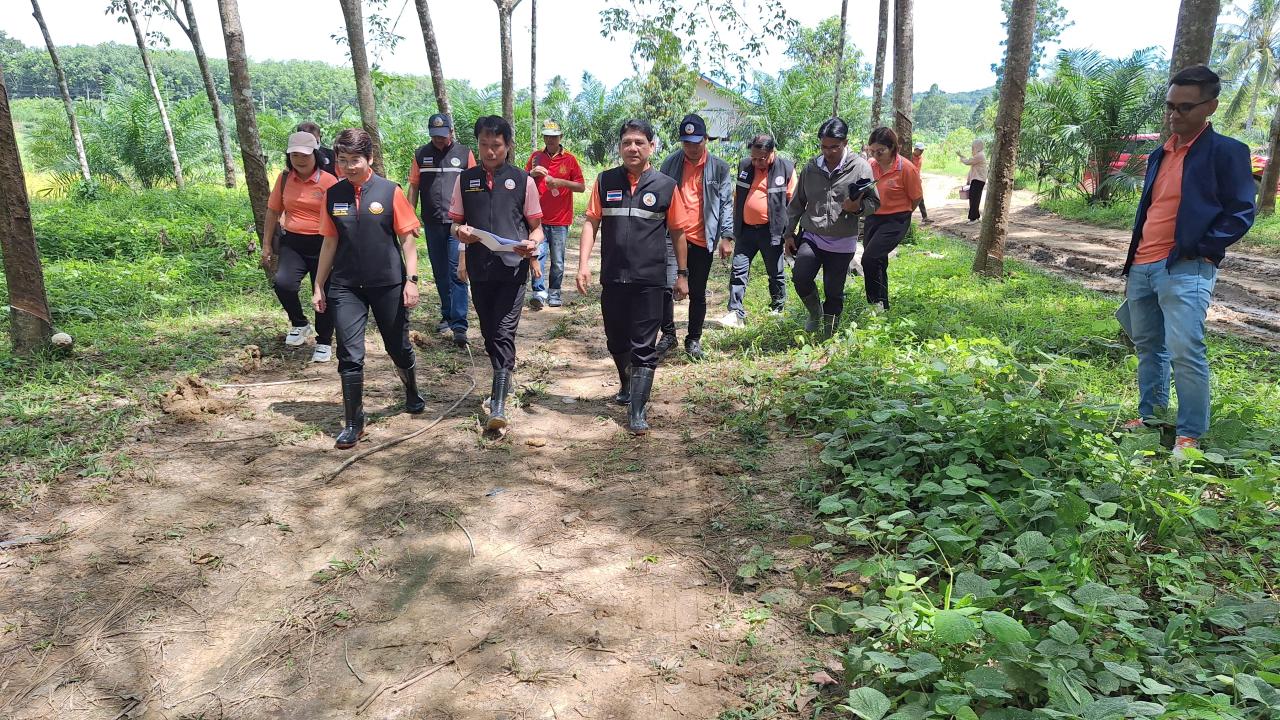 ภาพประกอบที่ 6