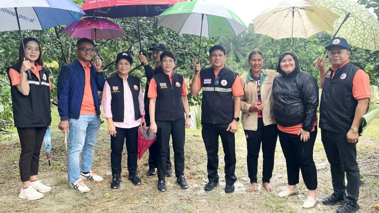 ภาพประกอบที่ 9