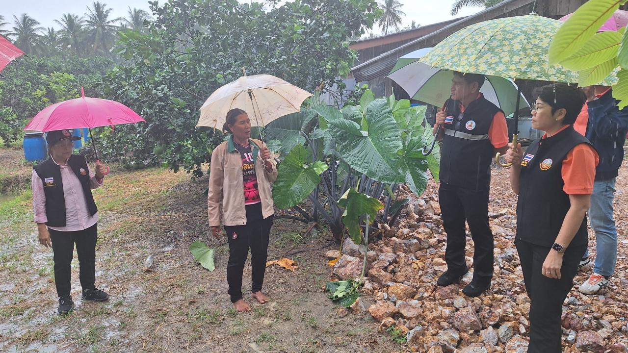 ภาพประกอบที่ 10