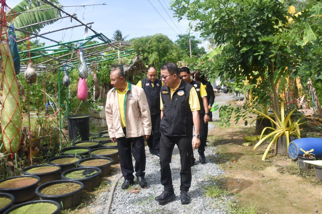 ภาพประกอบที่ 2