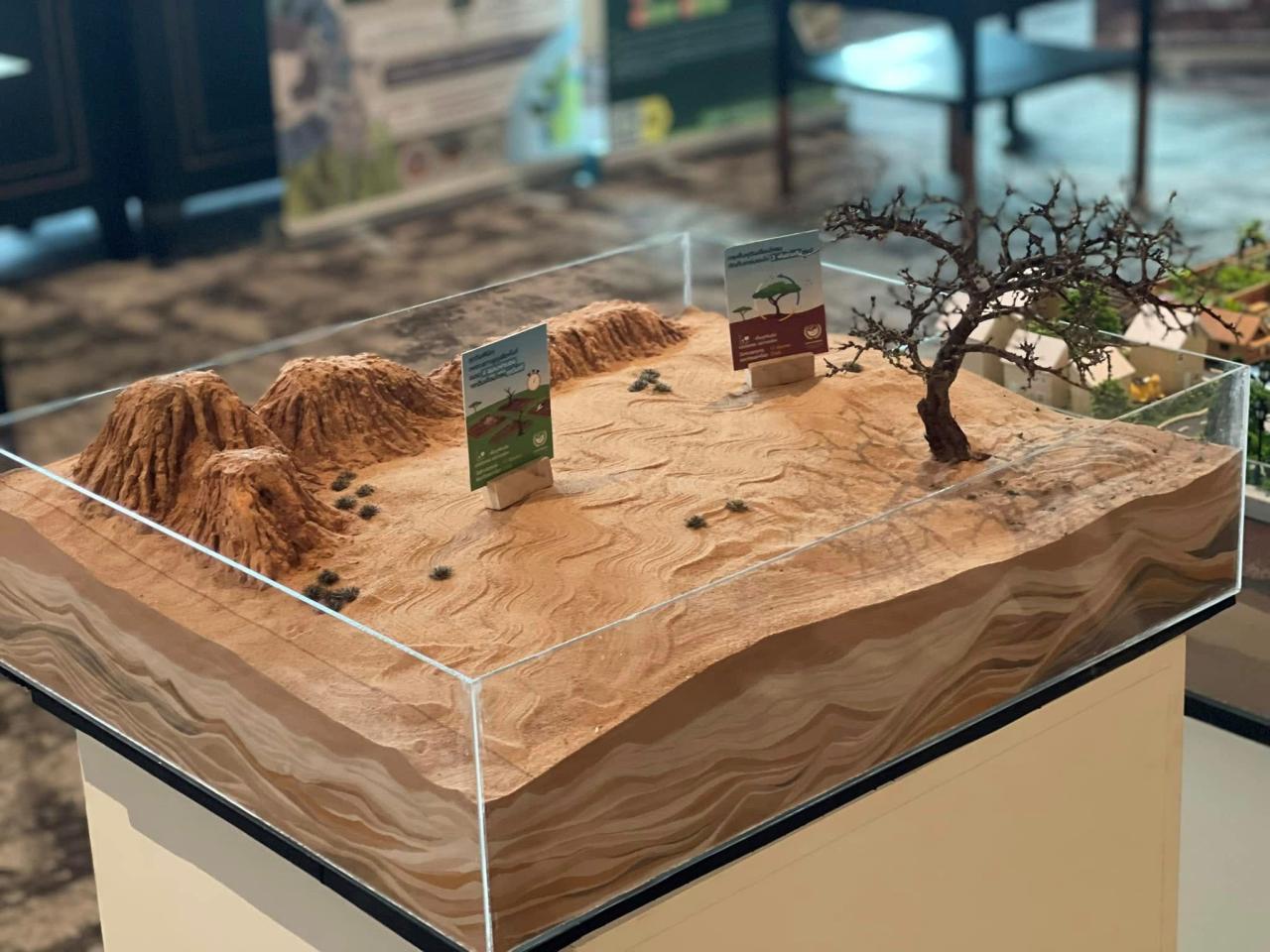 ภาพประกอบที่ 1