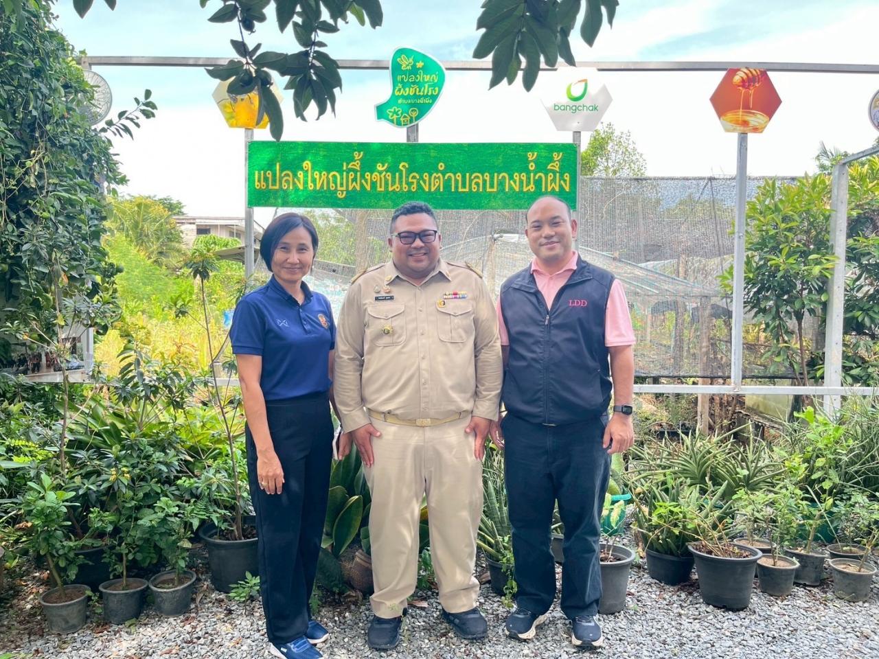 ภาพประกอบที่ 5