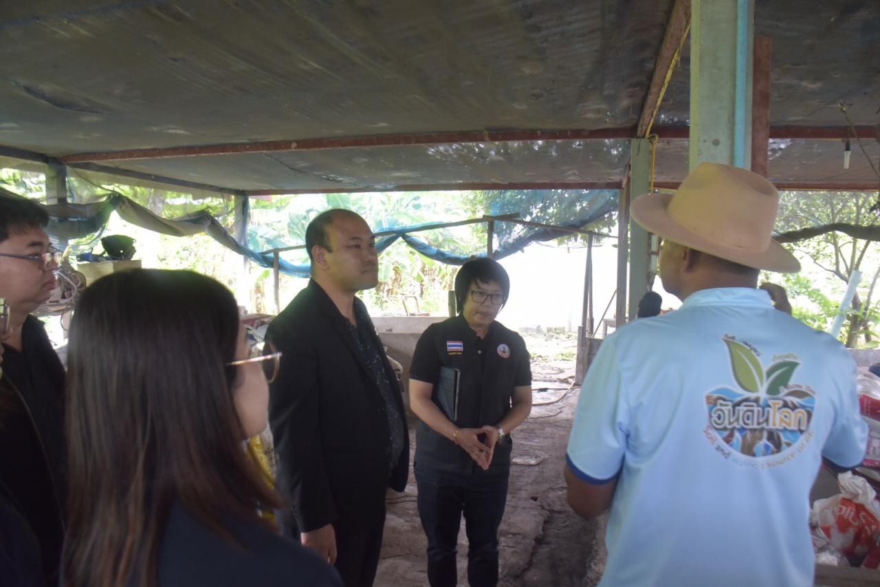 ภาพประกอบที่ 1