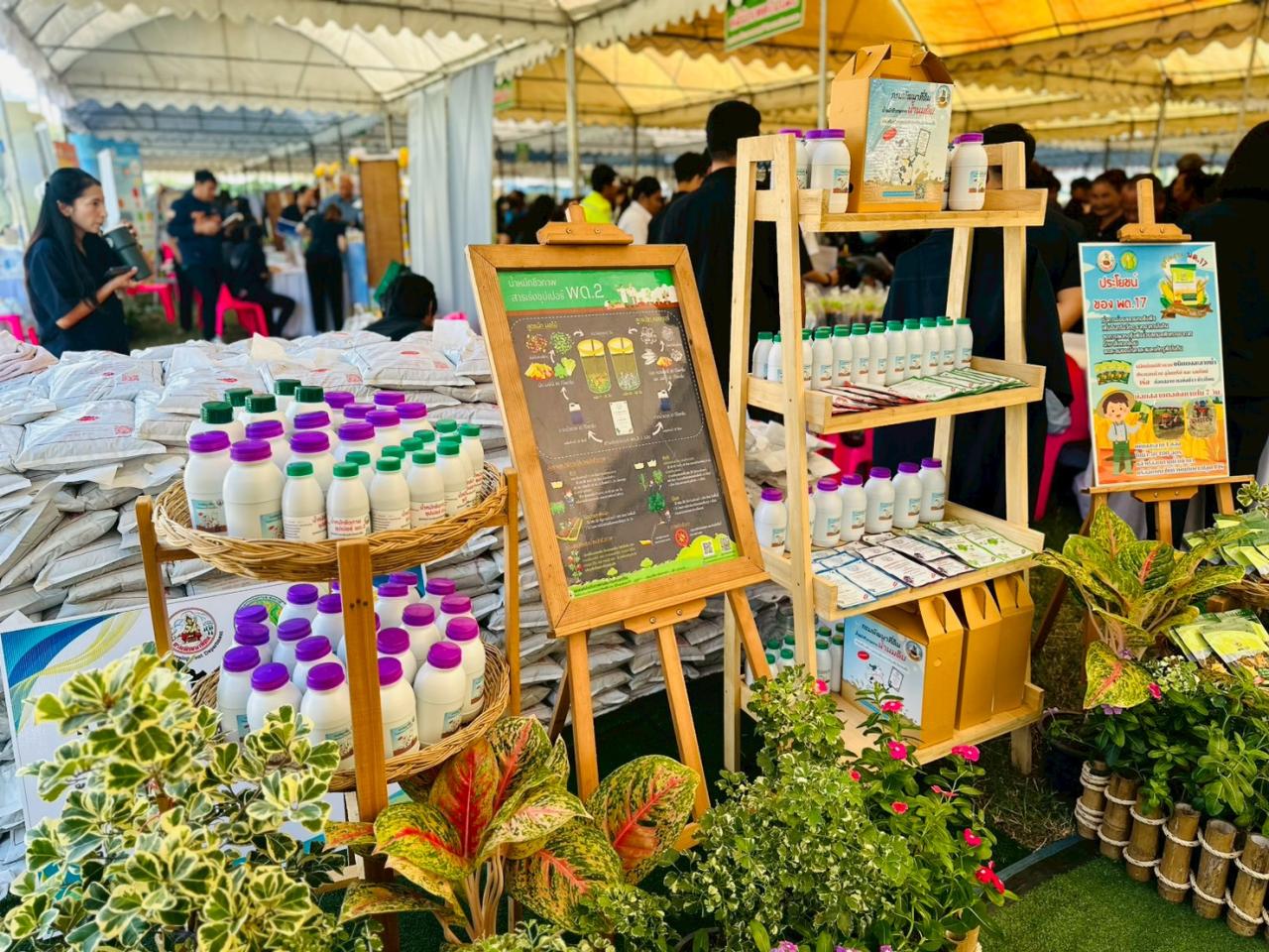 ภาพประกอบที่ 1