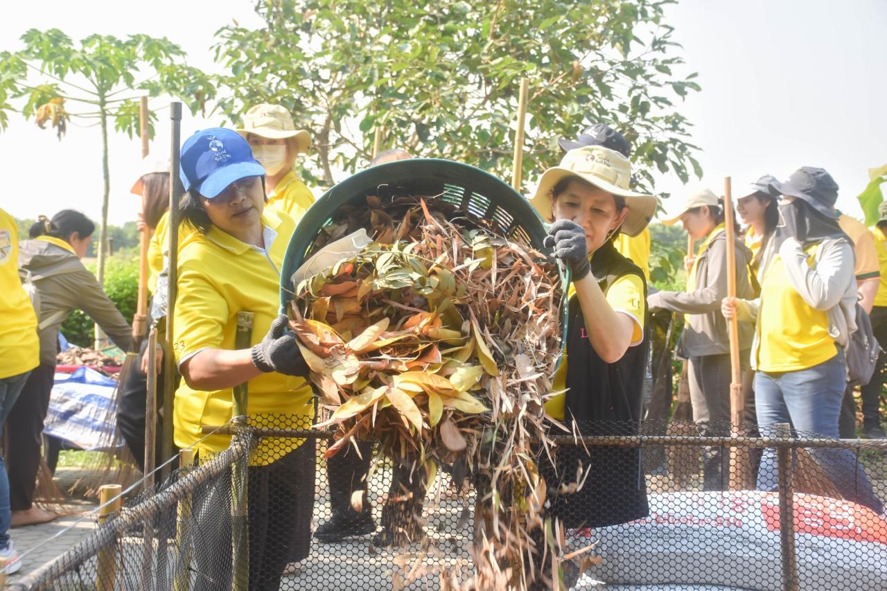 ภาพประกอบที่ 1