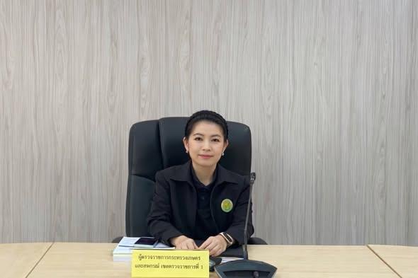 ภาพประกอบที่ 0