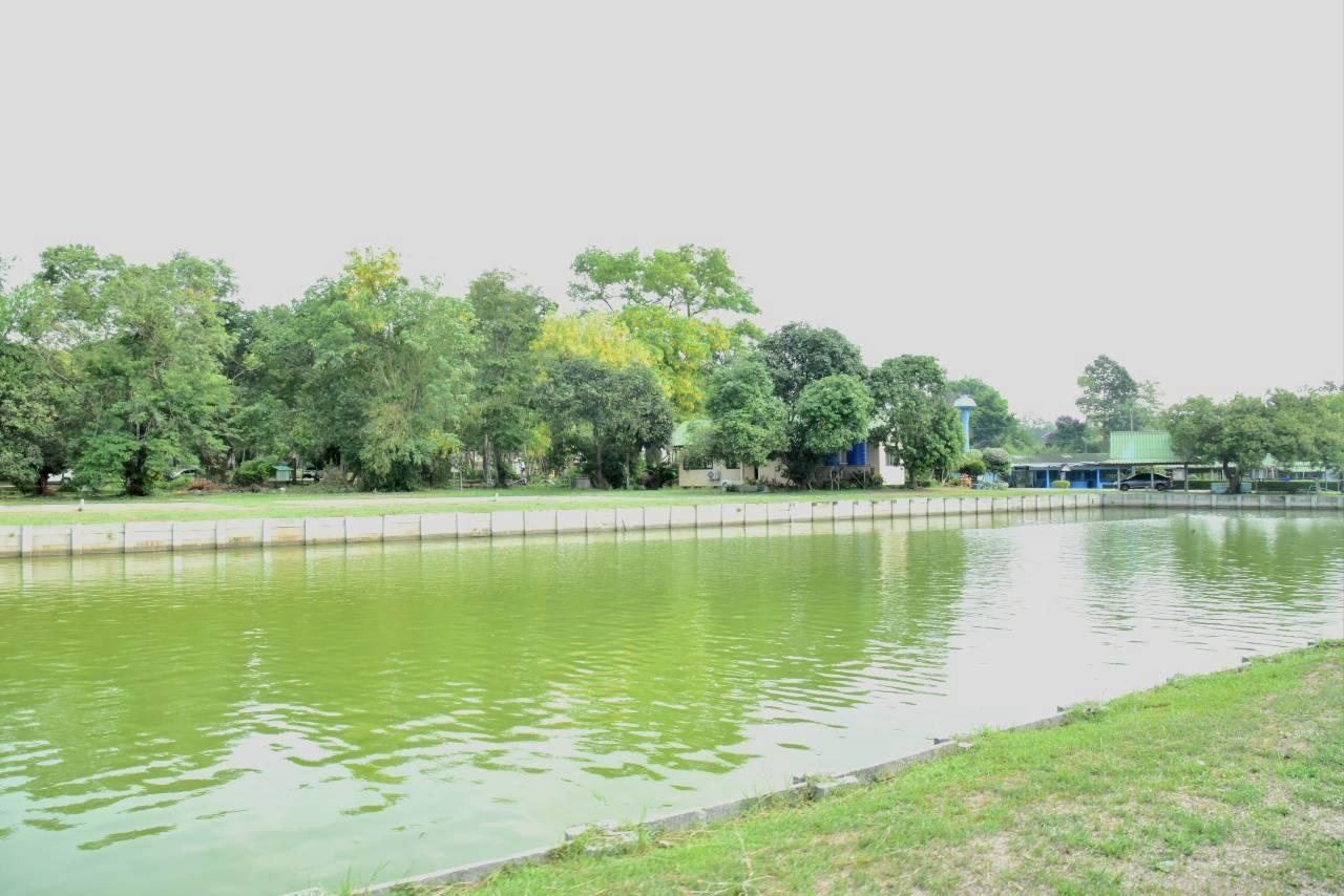 ภาพประกอบที่ 6