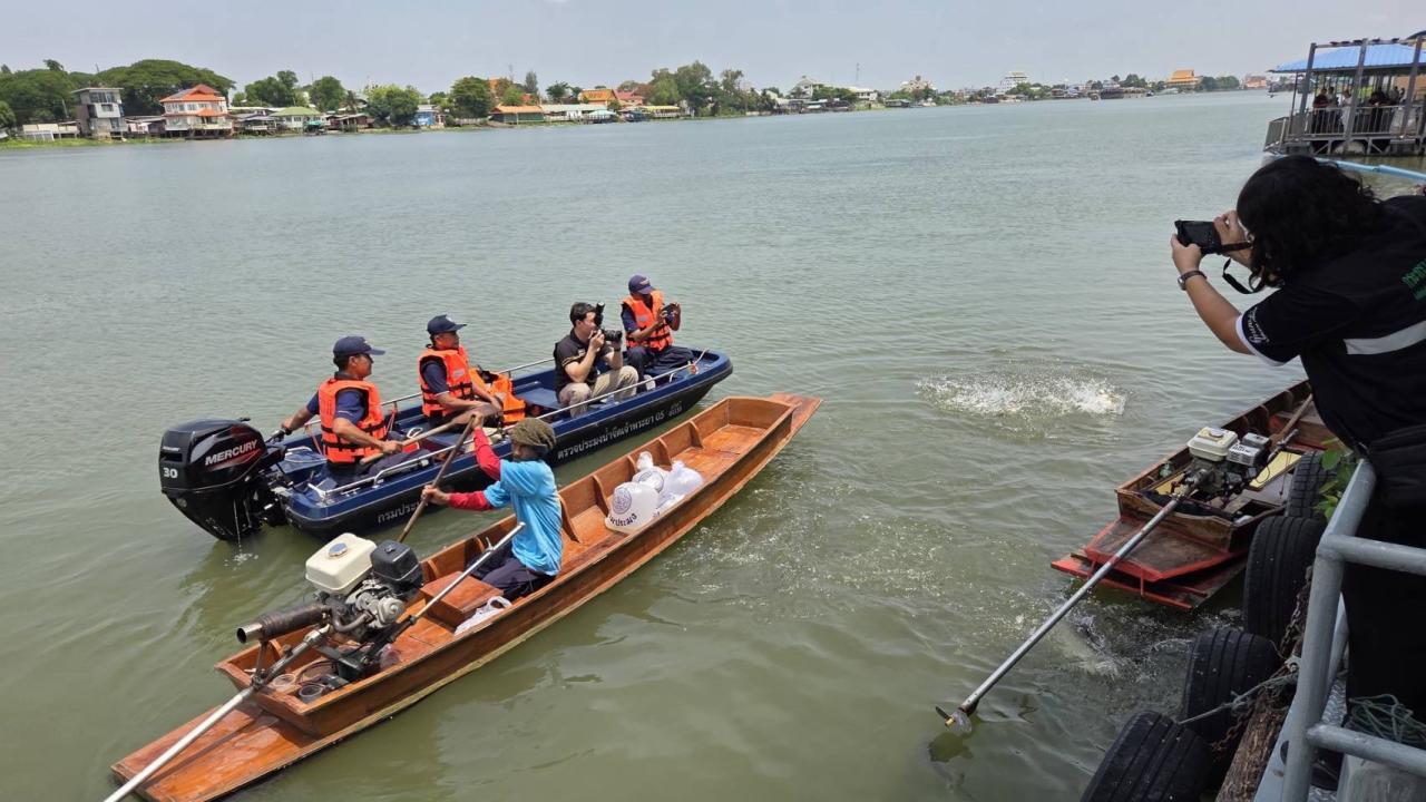 ภาพประกอบที่ 5