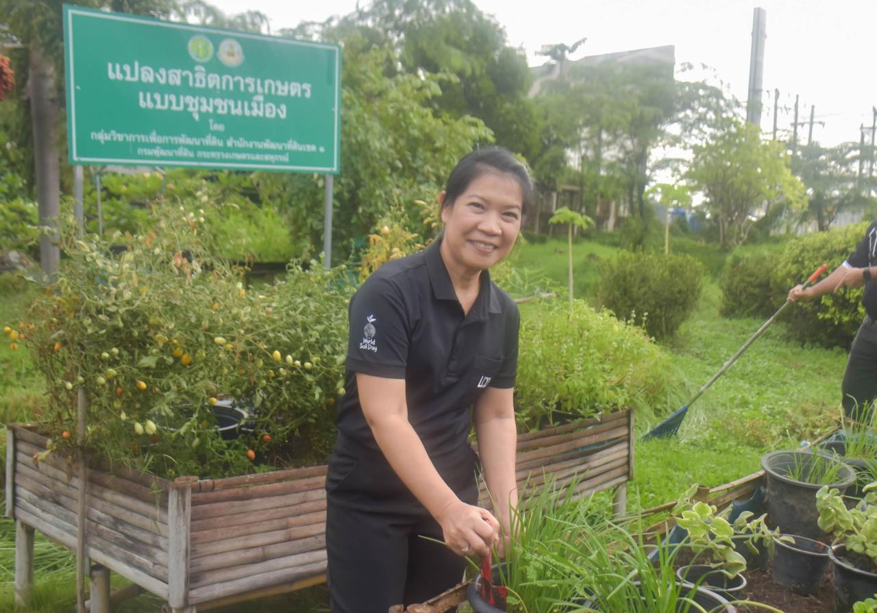 ภาพประกอบที่ 4
