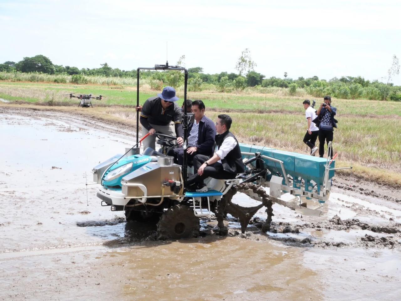 ภาพประกอบที่ 7
