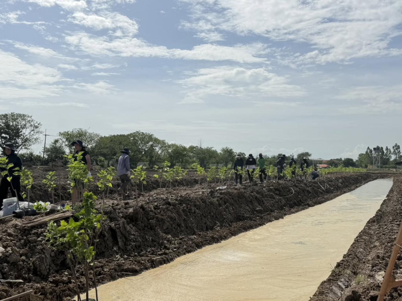 ภาพประกอบที่ 4