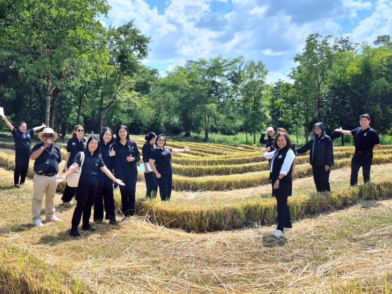ภาพประกอบที่ 3