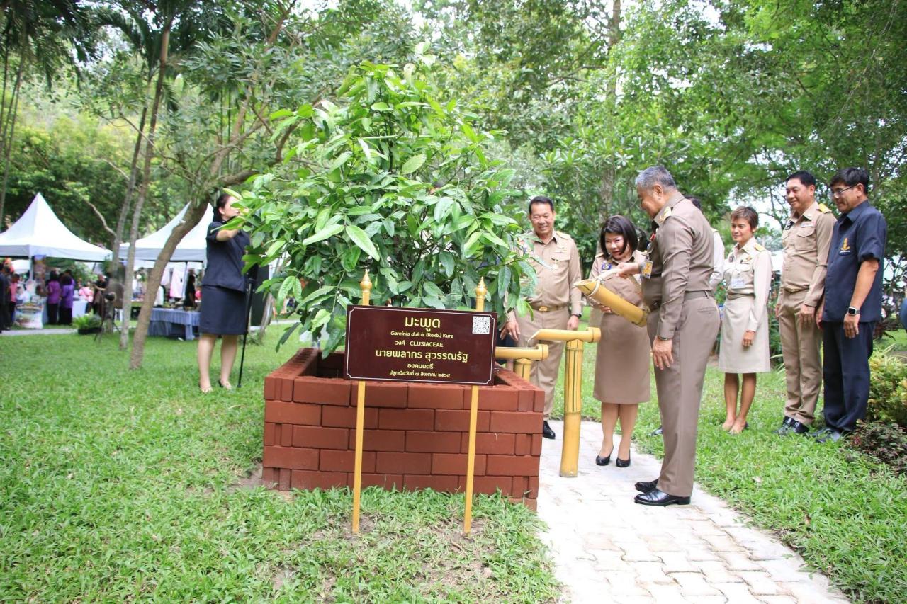 ภาพประกอบที่ 6