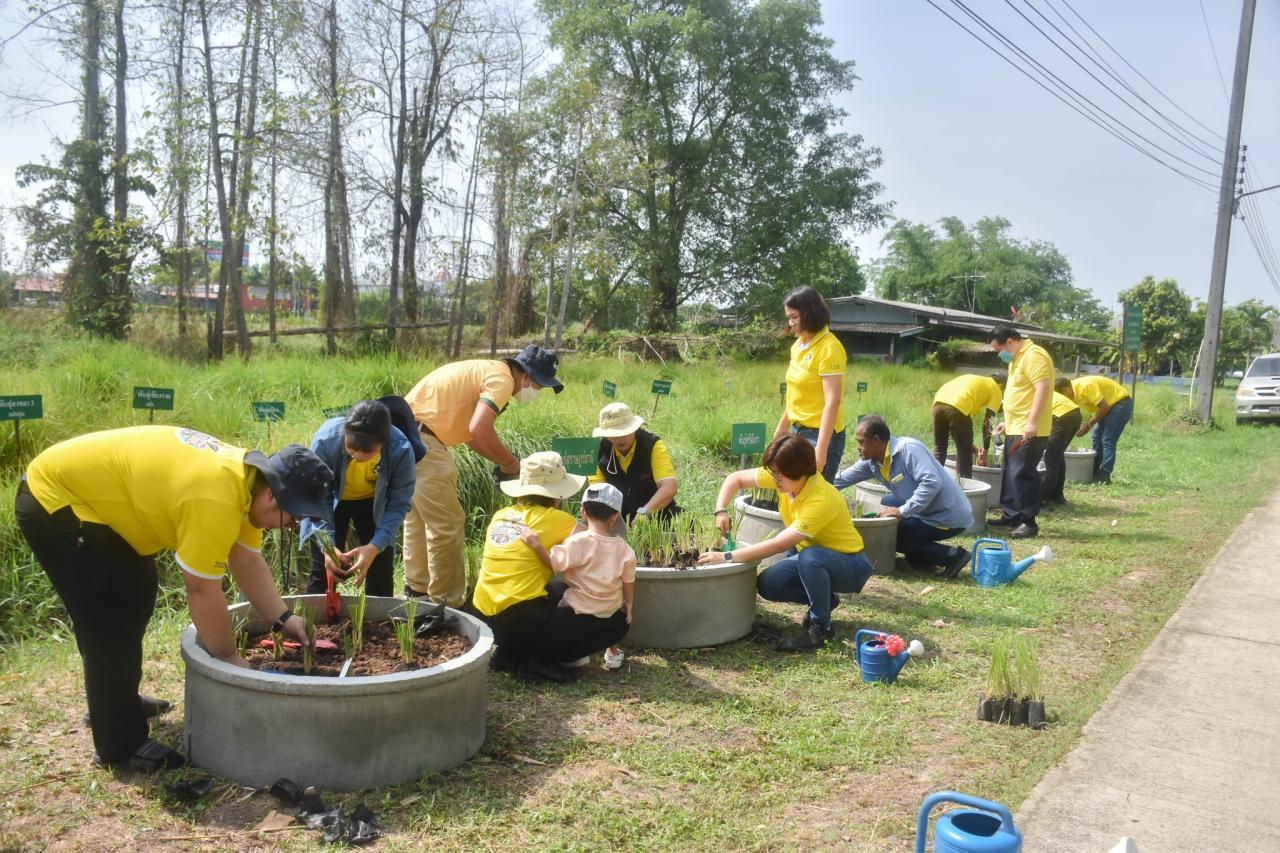 ภาพประกอบที่ 2