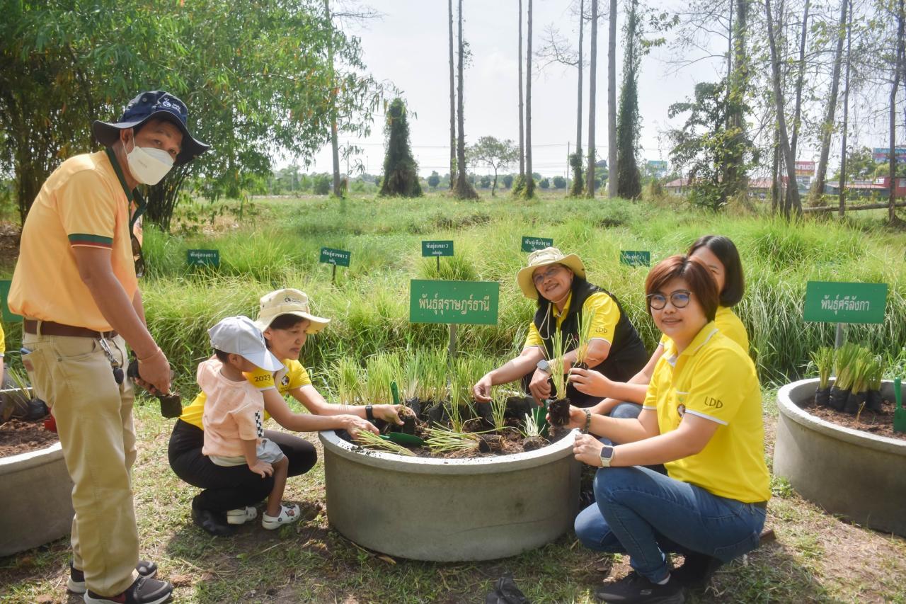 ภาพประกอบที่ 5