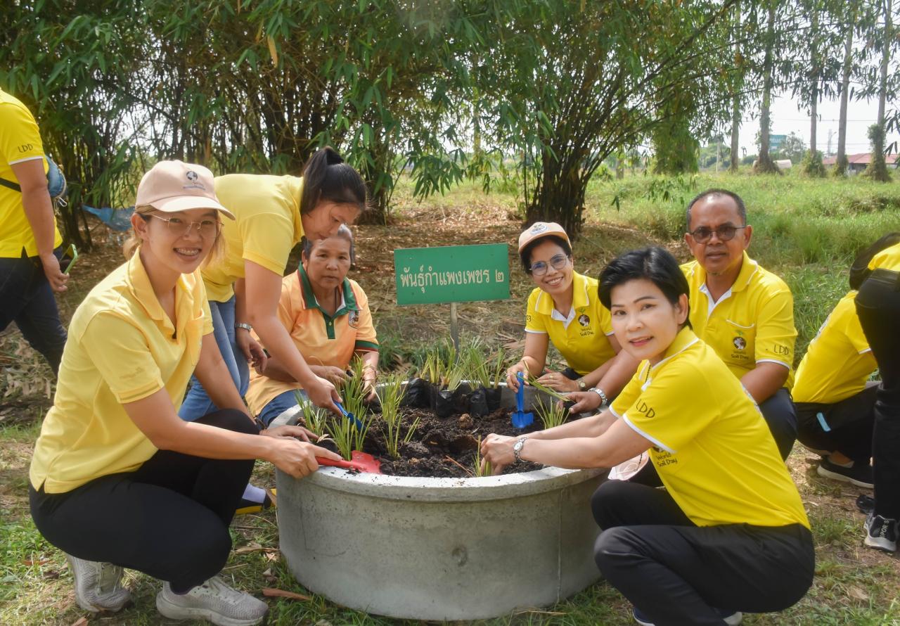 ภาพประกอบที่ 9