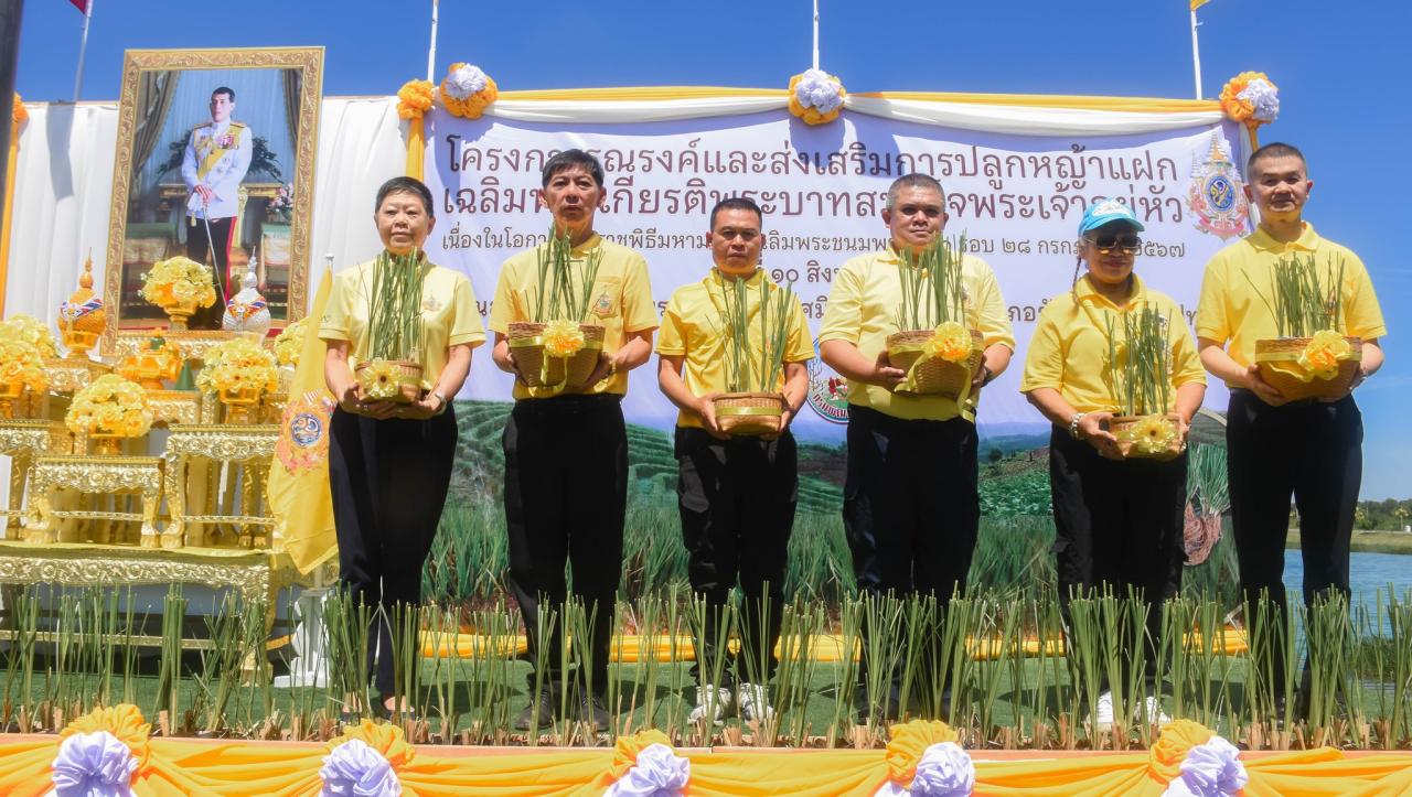 ภาพประกอบที่ 1